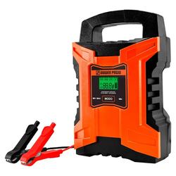 Cargador Mantenedor de Baterias Dowen Pagio MCB1215P 9991020